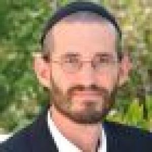 נועם פרלסון